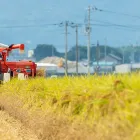 宮城店